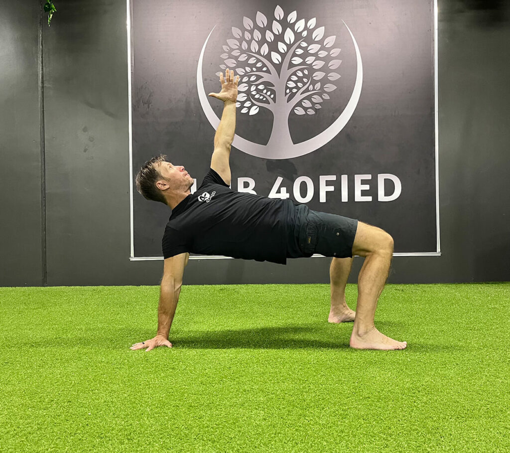 Tamas Finta living fortified